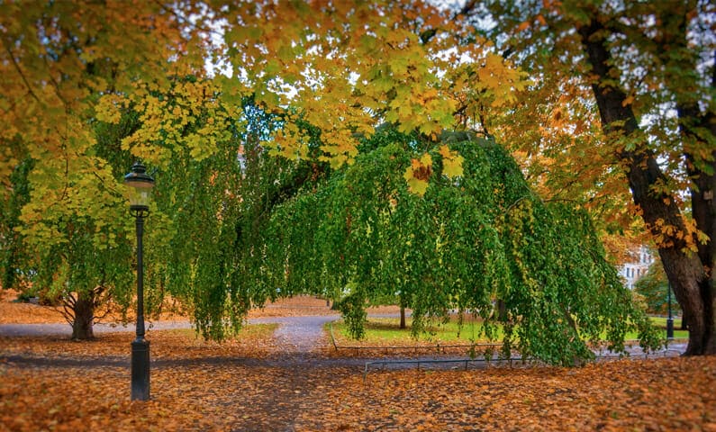 Humlegården Stockholm