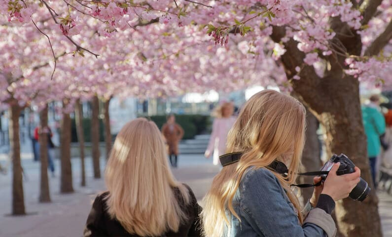 Kungsträdgården Stockholm