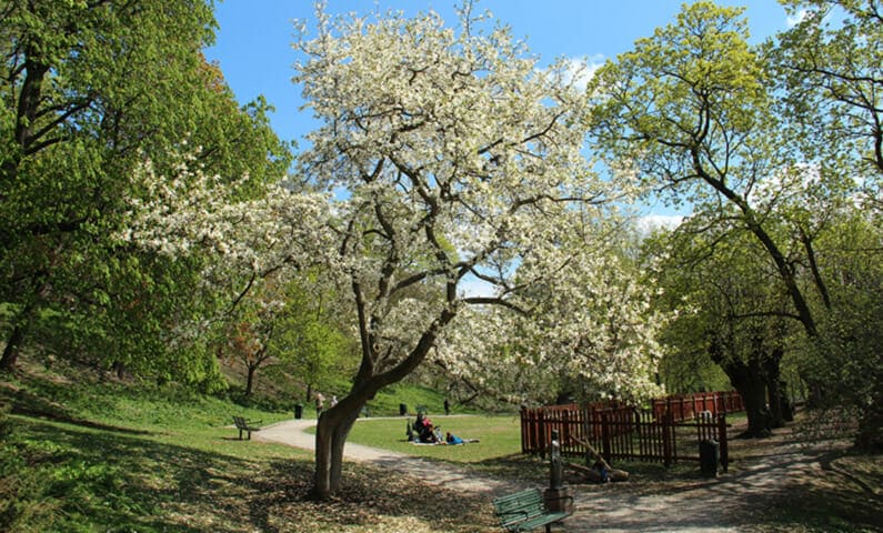Vitabergsparken Stockholm