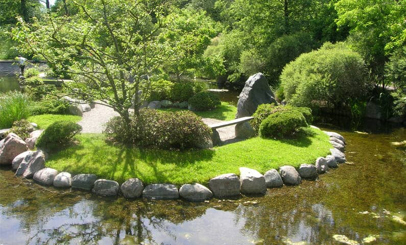Den japanska dammen i Bergianska trädgården