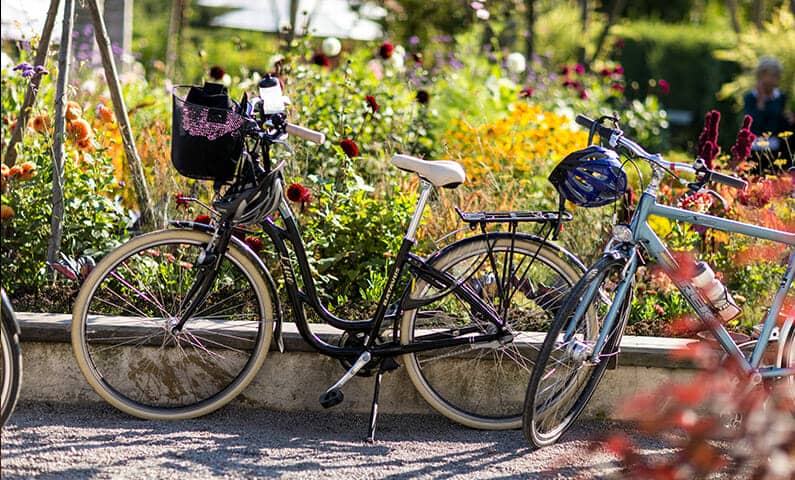Biking in Djurgården, Stockholm