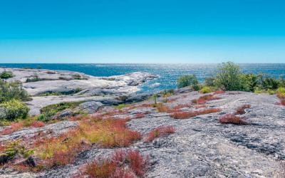 Top 10 places to enjoy nature in Stockholm