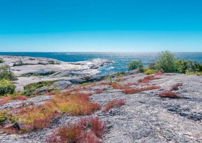 10 bästa ställena att uppleva natur i Stockholm