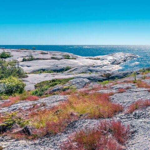 10 bästa ställena att uppleva natur i Stockholm