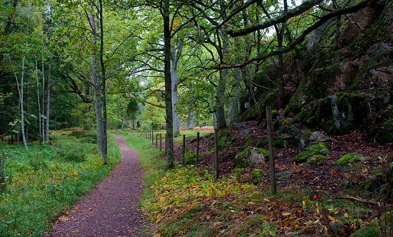 Sörmlandsleden hiking trail