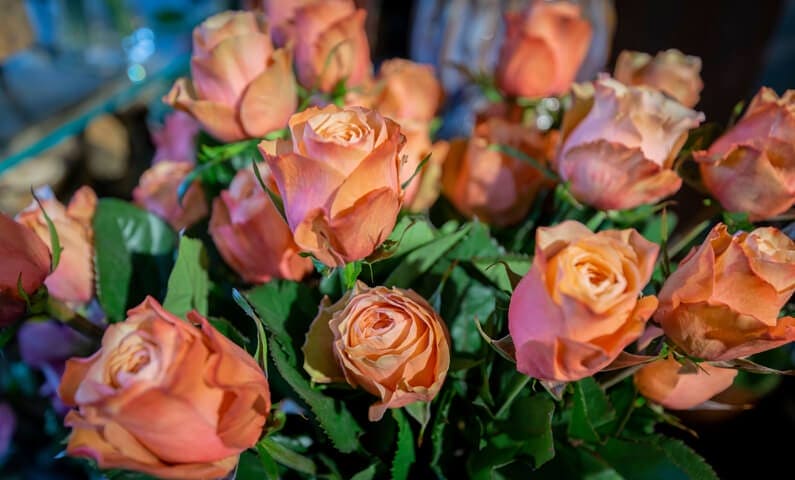 Buy flowers in Stockholm